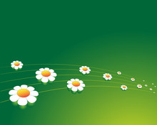 Floral Green Background
