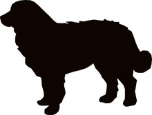 Bernese Mountain Dog Silhouette