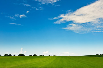 Wall Mural - summer background