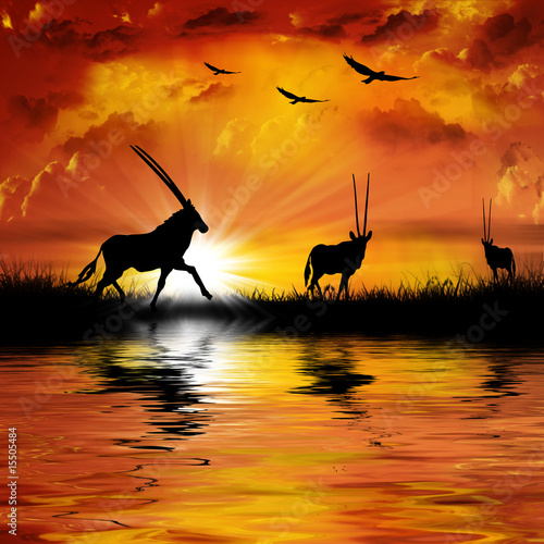 Foto-Leinwand ohne Rahmen - Antelope on a beautiful sunset background (von Victoria)