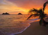Fototapeta Zachód słońca - Pacific sunrise at Lanikai beach in Hawaii