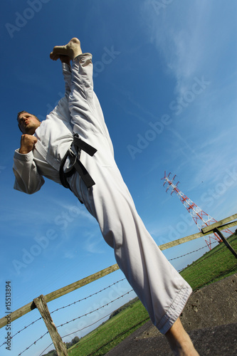 Dekoracja na wymiar  taekwon-do-kick