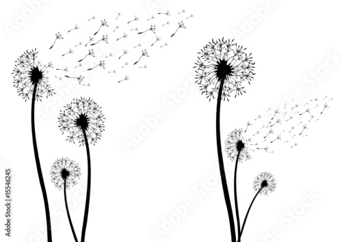 Download Pusteblume als Silhouette - Buy this stock vector and ...