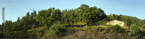 Board z aluminiowym obramowaniem Sierra de Monchique, Algarve, Portugalia