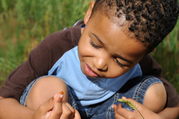 Wall Mural - Child playing with ladybug