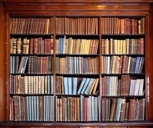 Old Library Bookshelf