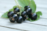 Schwarze Johannisbeere