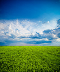 Wall Mural - clouds over the green field