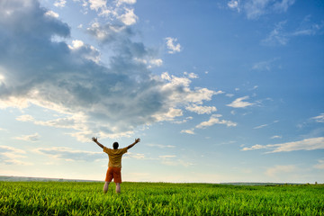 Wall Mural - man in the field