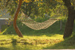 the hammock in a garden