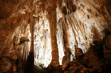 Stalagmites, Columns And Draperies In Carlsbad Caverns