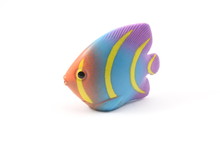 Tropical Fish Toy