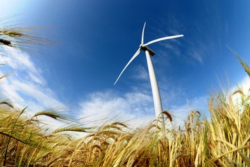 wind turbine - renewable energy source