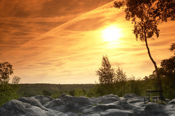 Poster - foret de fontainebleau gorges d'apremont