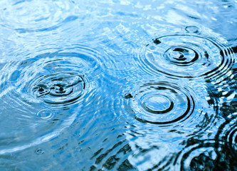 Wall Mural - rainy weather