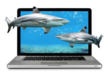 Laptop Computer With Sharks