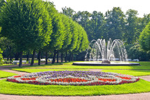 Fountains In Park In Saint-Petersburg