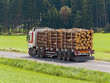 Transport von Holzstämmen auf einem Lastwagen