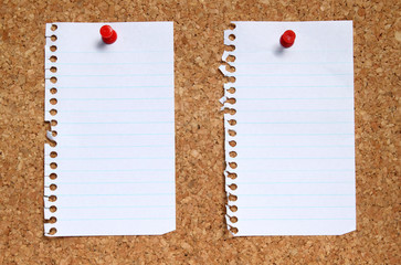 Two blank paper pages from a notebook on a cork noticeboard.