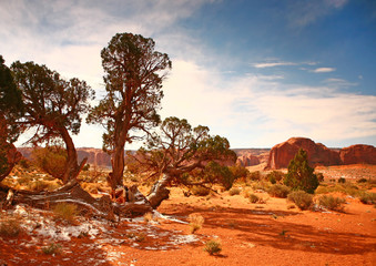 Wall Mural - High Dynamic Image of Monument Valley