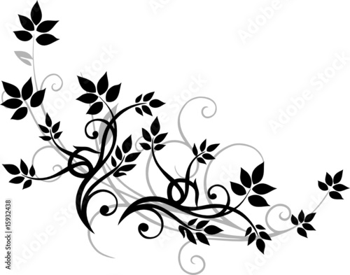 Blätter, Blatt, Laub, filigrane Ranke kaufen Sie diese