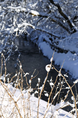 Canvas Print - Winter landscape