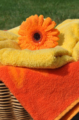 Wet Flower on Soft Towels