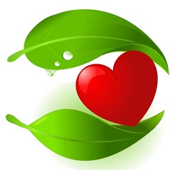 Healthy vegetal food protecting heart