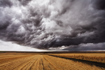 Poster - Storm front.