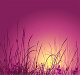 160_f_16052670_kodxkry6l4emmufio76opb5tr7k4kf9u