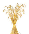 wheat sheaf isolated