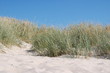 © foto-stuemper - Strand