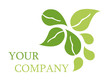 Logo Blätter