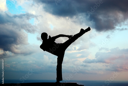 Plakat na papierze fotorealistycznym Kung fu na krawędzi