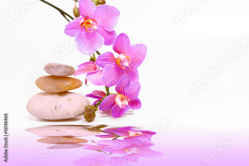 Foto-Lamellenvorhang - wellness, massage (von Swetlana Wall)