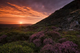 Fototapeta Miasta - Beautiful Landscape at sunset with colorful heather