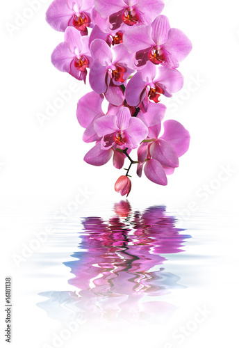 Board z aluminiowym obramowaniem Balneoterapia i orchidea