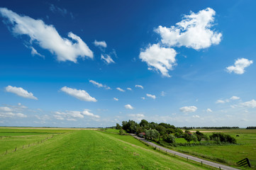 Wall Mural - summer background