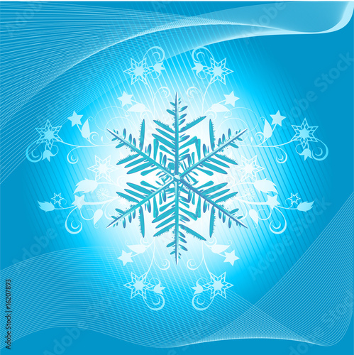Foto-Plissee - Winter snowflake and flourish (von Elaine Barker)