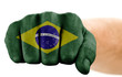 fist with brazilian flag