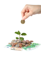 Wall Mural - Plant hand and money.