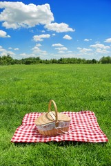 Wall Mural - Picnic