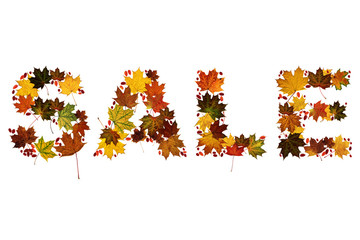 Wall Mural - sale