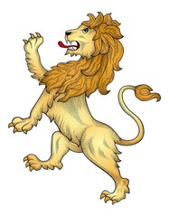 Lion vector