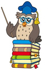 Poster - Wise owl teacher on books