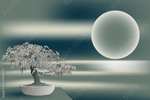 Board z aluminiowym obramowaniem Klon japoński bonsai