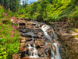 Canvas Print - Waterfall