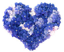 Coeur De Fleurettes Bleues