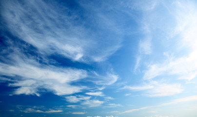 Canvas Print - perfect blue sky