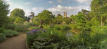 Botanischer Garten In Oxford